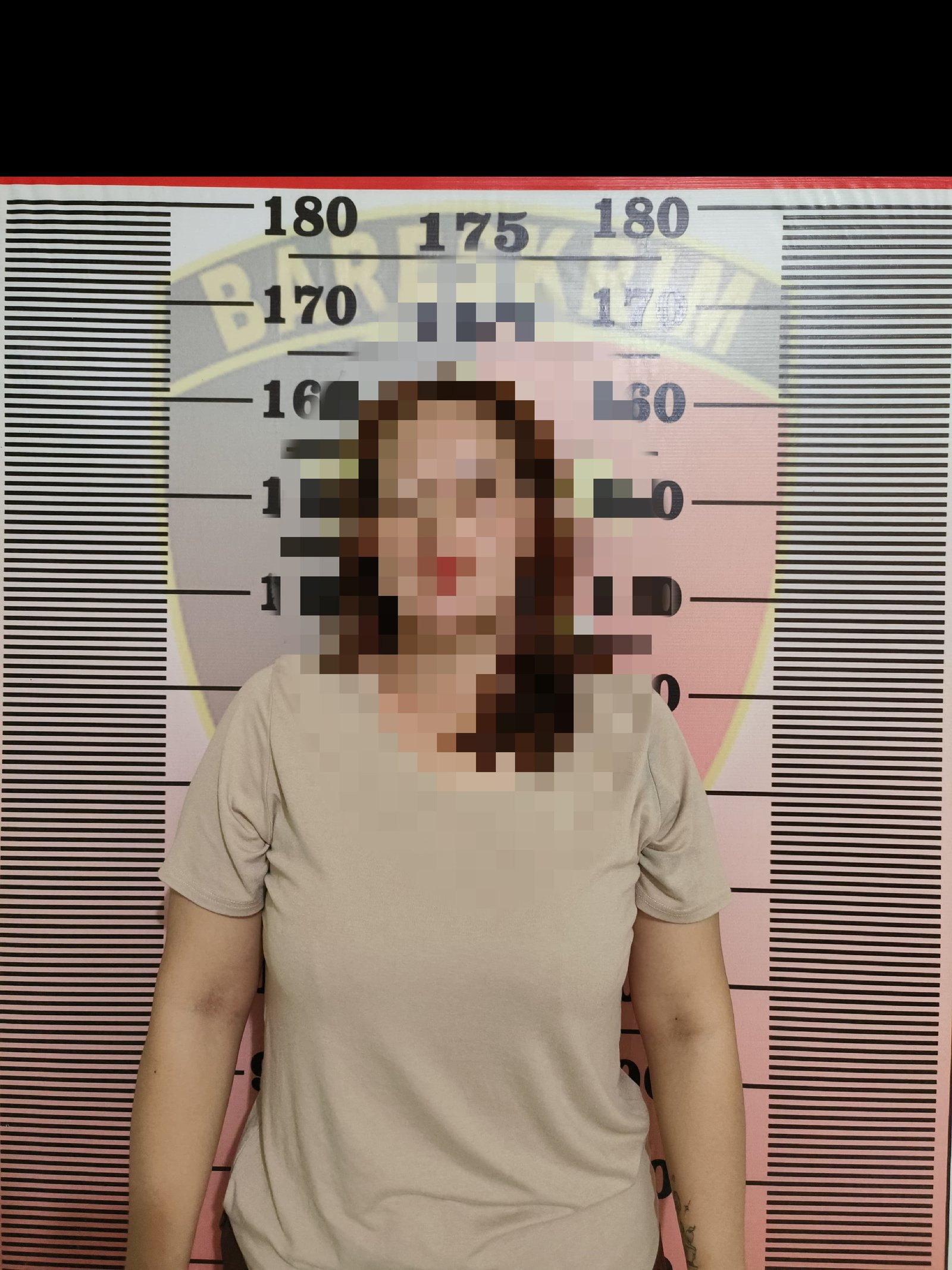 Tak Disangka, Ibu Rumah Tangga Jadi Pengedar Sabu di Long Beliu