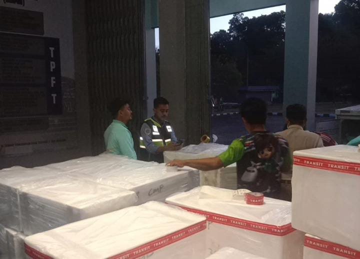 Udang dan Ikan Asal Berau Laris Manis di Pasar Internasional