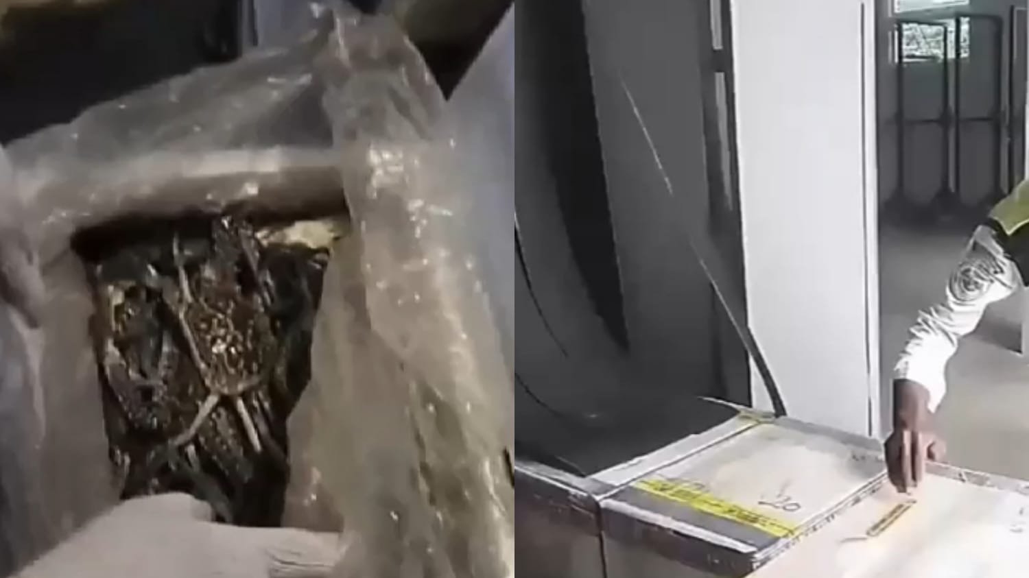 Kali ke-29, Kalimarau Lepas 513 Kg Hasil Laut ke Kuala Lumpur dan Singapura