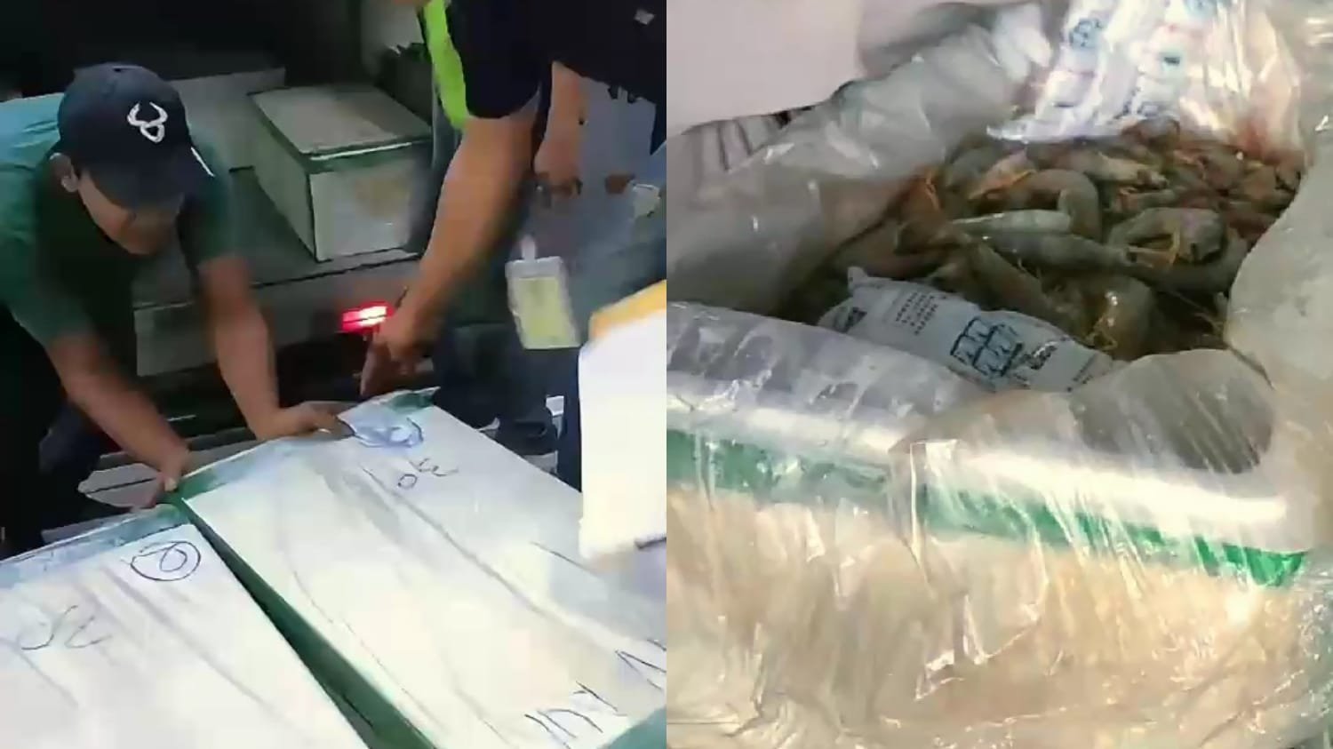 Ekspor Hasil Laut Berau Terus Meningkat, Bandara Kalimarau Jadi Pintu Gerbang Perdagangan Global