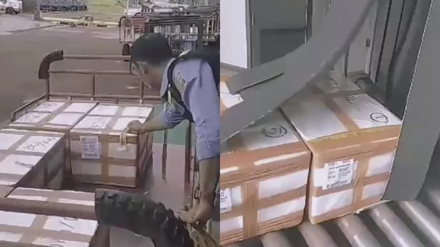 Bandara Kalimarau Pacu Ekspor Hasil Laut Berau, Agen Baru Hadir Perkuat Logistik