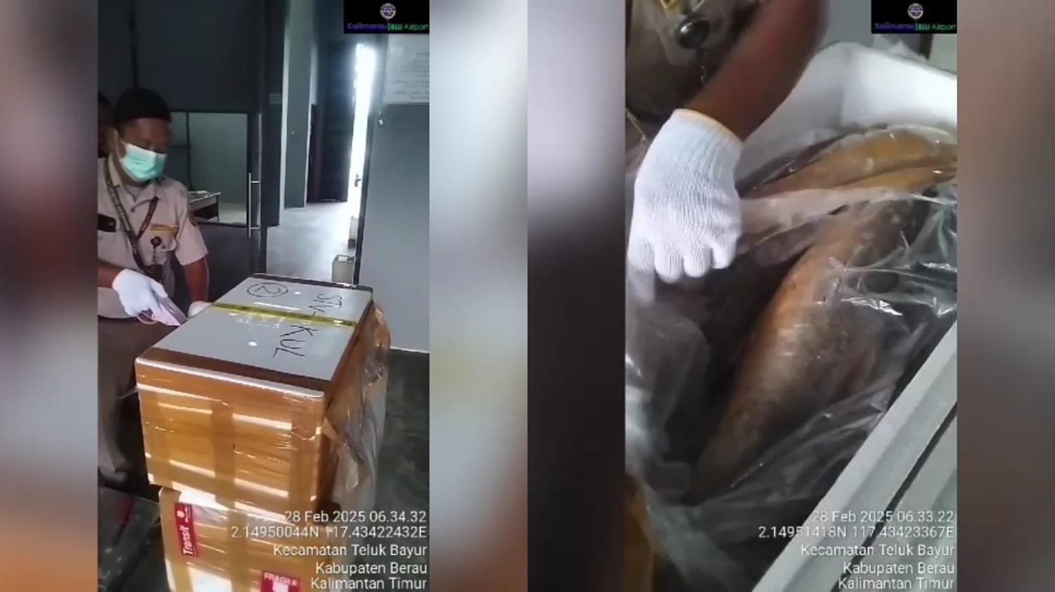 Bandara Kalimarau Pacu Ekspor Komoditas Laut Berau, Kuala Lumpur dan Singapura Jadi Tujuan Utama