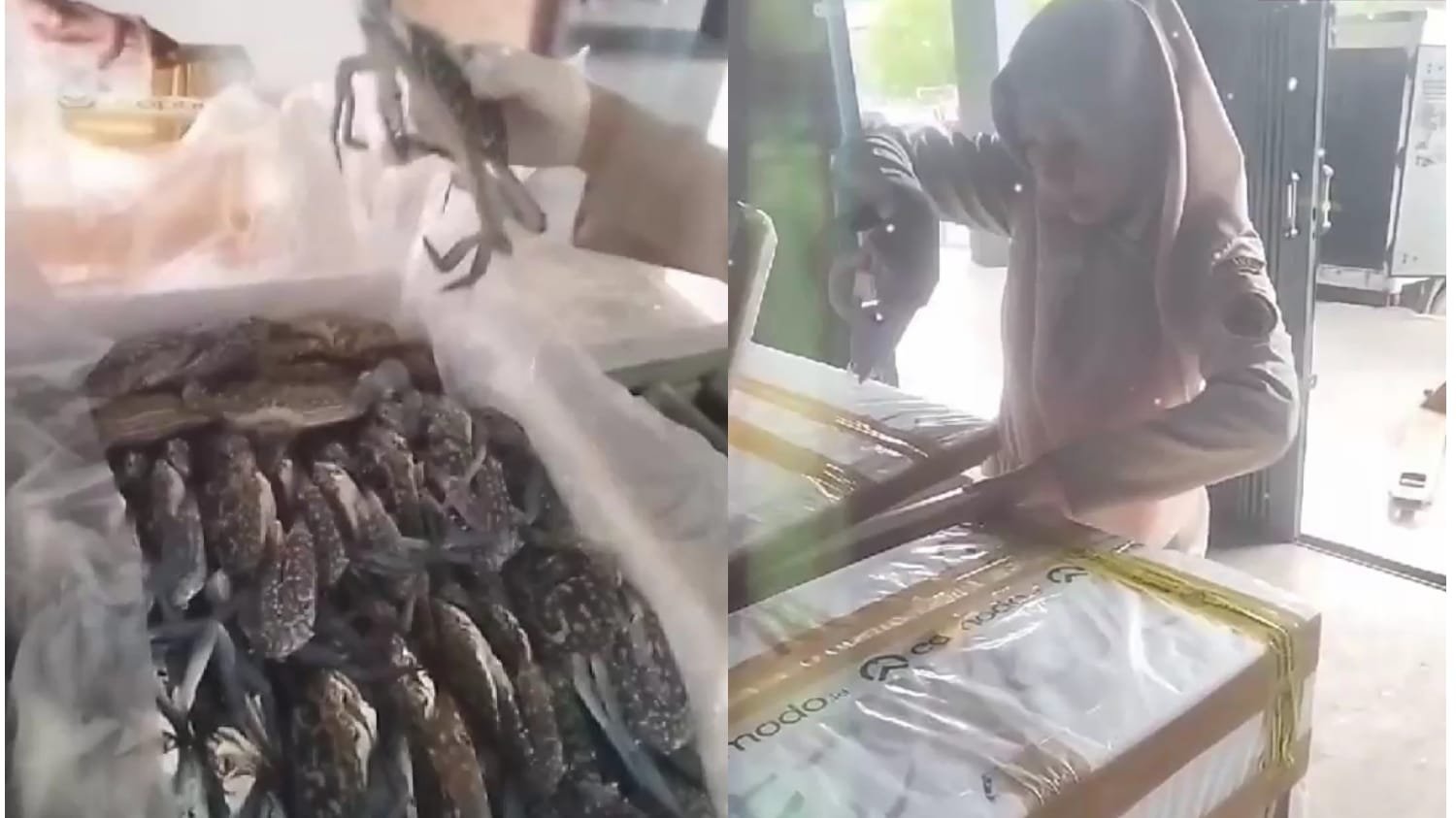 Bandara Kalimarau Catatkan Rekor Pengiriman ke-46