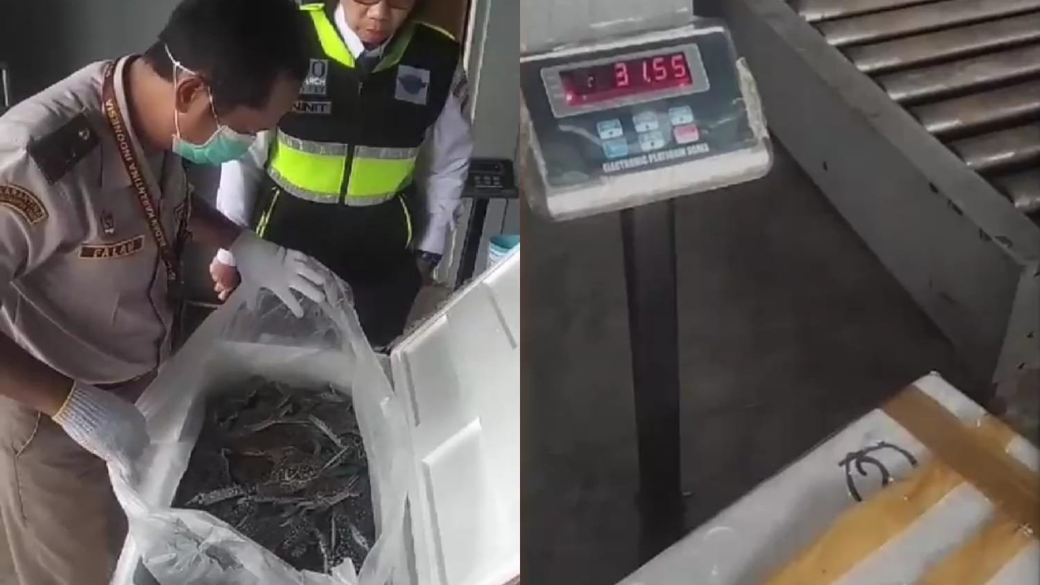 Bandara Kalimarau Pacu Ekspor Hasil Laut Berau, Volume Pengiriman Terus Meningkat