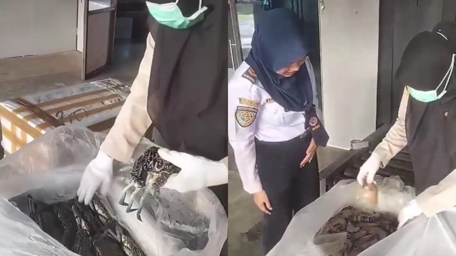 Berau Pacu Deras Arus Komoditas Bahari ke Mancanegara