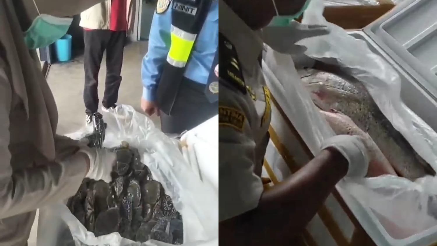 Kabupaten Berau Perkuat Posisi Sebagai Pusat Ekspor Hasil Laut