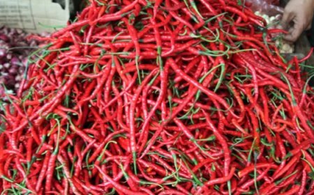 Harga Cabai Rawit Merah Tembus Rp65.400/Kg, Telur Ayam Ras Ikut Naik di Awal Desember