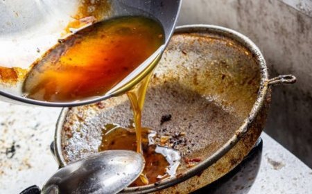 Beda Gaya, Satu Tujuan: Jepang Pastikan Minyak Jelantah Aman Dibuang, Indonesia Ubah Jadi Biodiesel