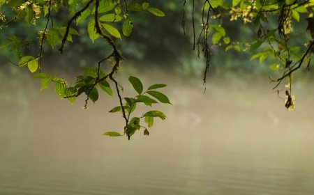 Punya Masterplan Ekowisata Disbudpar Berau Pastikan Fasilitas Danau Sigending Dibangun Bertahap