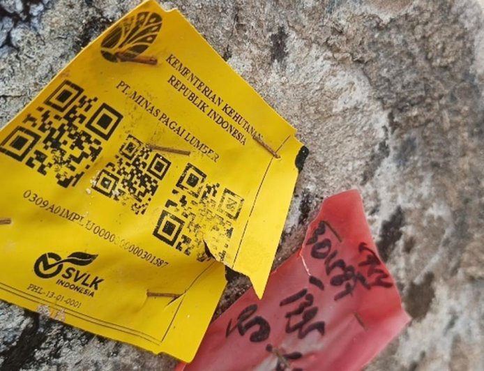 Ribuan Kayu Gelondongan Berlabel Kemenhut Terdampar di Pantai Tanjung Setia, Polda Lampung Dalami Dugaan Pelanggaran