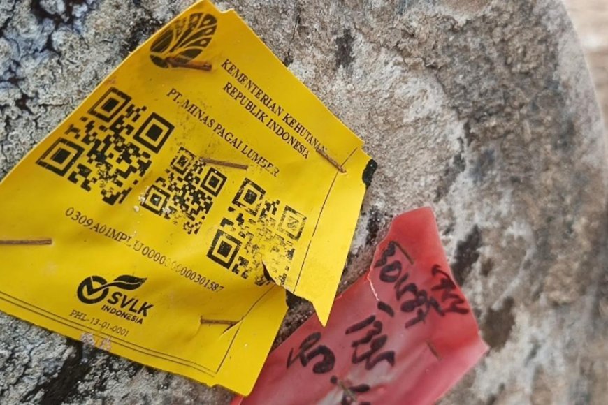 Ribuan Kayu Gelondongan Berlabel Kemenhut Terdampar di Pantai Tanjung Setia, Polda Lampung Dalami Dugaan Pelanggaran