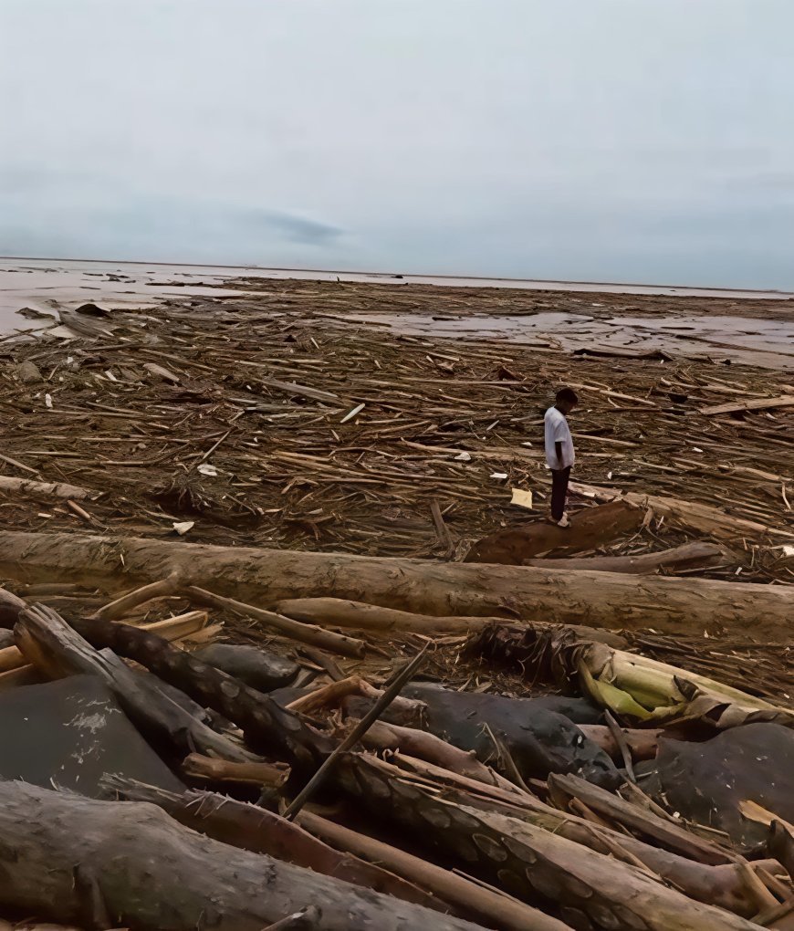 Kayu Gelondongan Hanyut di Sumatra Picu Polemik, Kemendagri Desak Investigasi Menyeluruh