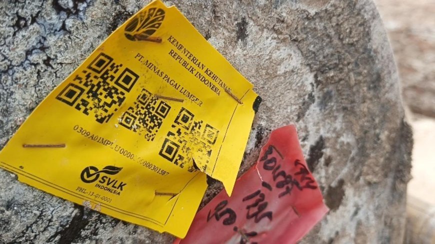 Ribuan Kayu Gelondongan Berlabel Kemenhut Terdampar di Pantai Tanjung Setia, Polda Lampung Dalami Dugaan Pelanggaran