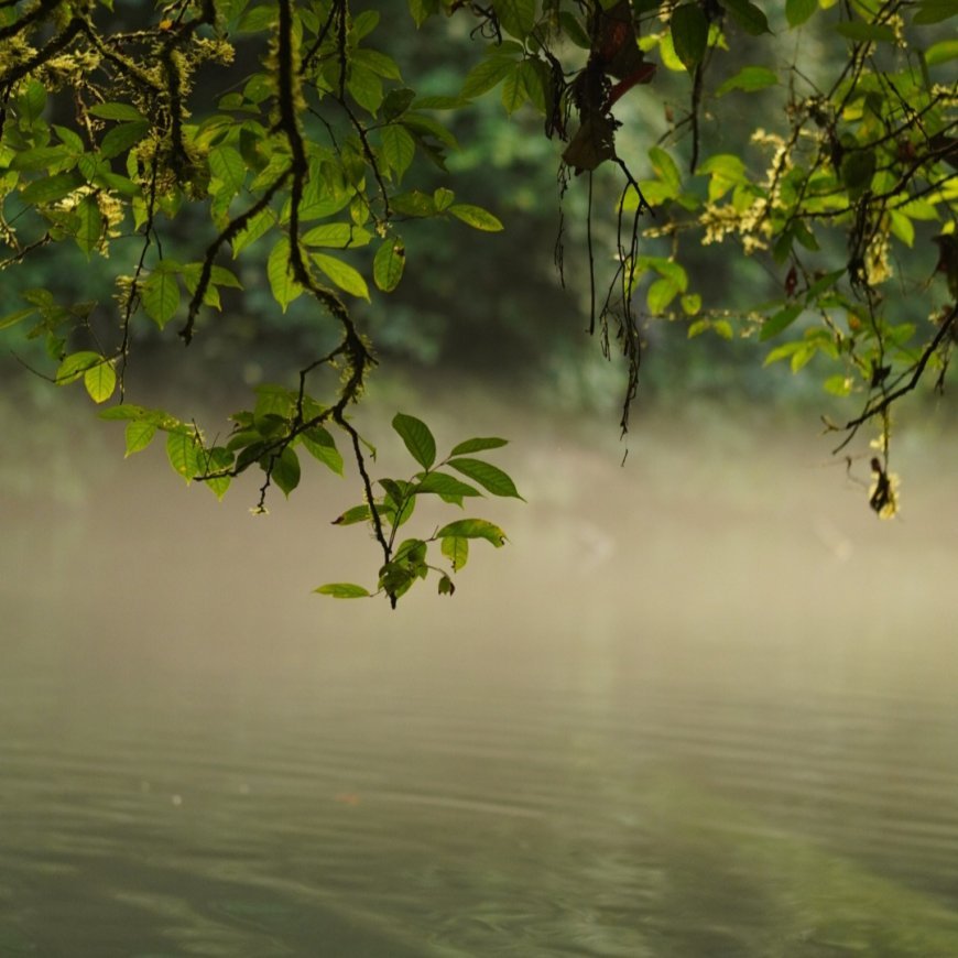 Punya Masterplan Ekowisata Disbudpar Berau Pastikan Fasilitas Danau Sigending Dibangun Bertahap