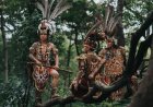 Menelusuri Jejak Budaya Suku Dayak, Penjaga Rimba di Jantung Kalimantan