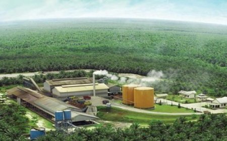 Menkeu Purbaya Sadewa Ungkap 10 Perusahaan Sawit Diduga Lakukan Under Invoicing