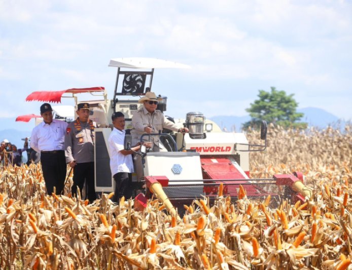 BPS: Produksi Jagung Nasional 2025 Naik 6,44 Persen, Tembus 16,11 Juta Ton