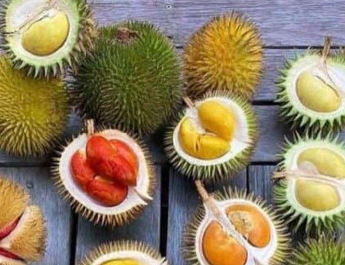 Udah Musim Durian? Ayo Kenali Ragam Varietas Unggulan Beserta Karakter Rasanya