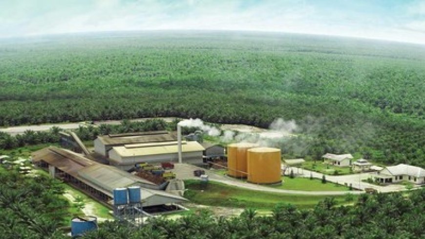 Menkeu Purbaya Sadewa Ungkap 10 Perusahaan Sawit Diduga Lakukan Under Invoicing