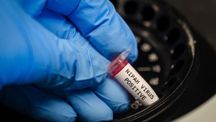 Pakar Peringatkan Ancaman Virus Nipah, Indonesia Diminta Tingkatkan Kewaspadaan