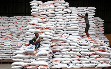 Produksi Beras Nasional 2025 Meningkat Signifikan, BPS Catat Tembus 34,69 Juta Ton
