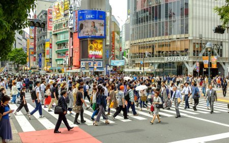 WNI di Jepang Tembus 230 Ribu Orang, Masuk Enam Besar Warga Asing Terbanyak
