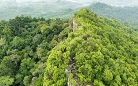 Otorita IKN Klaim Pembangunan Tetap Prioritaskan Koridor Satwa dan Restorasi Hutan Endemik
