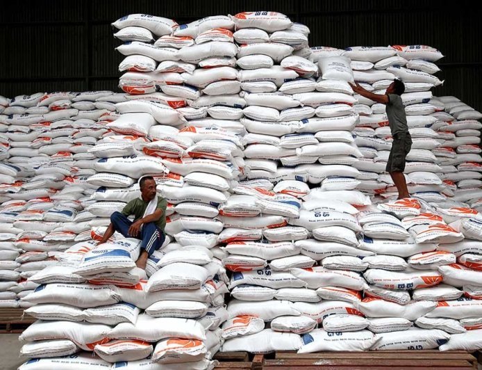 Produksi Beras Nasional 2025 Meningkat Signifikan, BPS Catat Tembus 34,69 Juta Ton