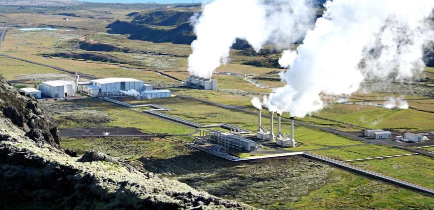 ​Pemerintah Diminta Cabut Konsesi Ormat, Pengamat: Jaga Kredibilitas RI Terhadap Palestina