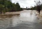 Jalan Poros Tanjung Batu Berau Terendam Banjir, Akses Menuju Derawan Terganggu