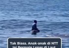 Anak-anak NTT Bermain Bersama Paus, Bikin Netizen Takjub
