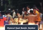 Buaya “Jalan Santai” di Jalan Raya Malinau, Warga Langsung Bertindak