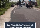 Bus Alami Laka Tunggal di Danau Ranau, Penumpang Selamat