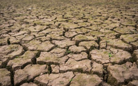 BMKG Prediksi Kemarau 2026 Datang Lebih Cepat di Sejumlah Daerah, Ini Daftar Wilayahnya