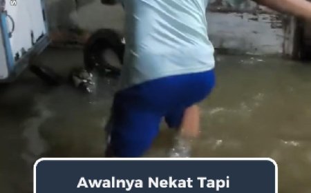 Mirip Biawak, Ternyata Ular Sanca Berukuran Besar