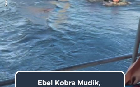 Ebel Kobra Mudik, Sekalian Eksplor Sungai Hitam Khas Kalteng