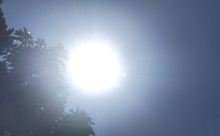 BMKG Imbau Petani Pilih Tanaman Berumur Pendek Jelang Kemarau di Kaltim