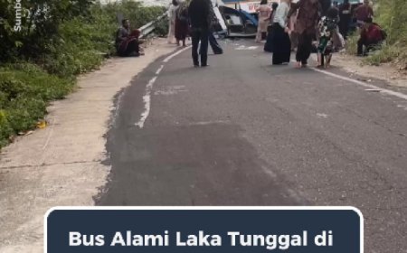 Bus Alami Laka Tunggal di Danau Ranau, Penumpang Selamat