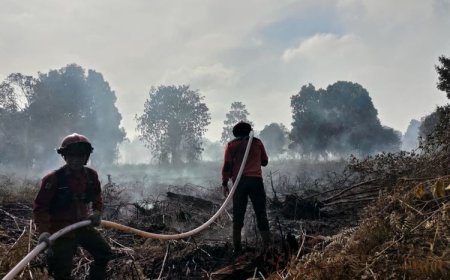 Berau Masuk Daerah Rawan, BMKG Catat 11 Titik Panas Picu Waspada Karhutla