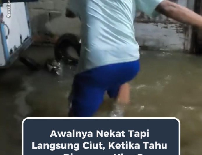 Mirip Biawak, Ternyata Ular Sanca Berukuran Besar