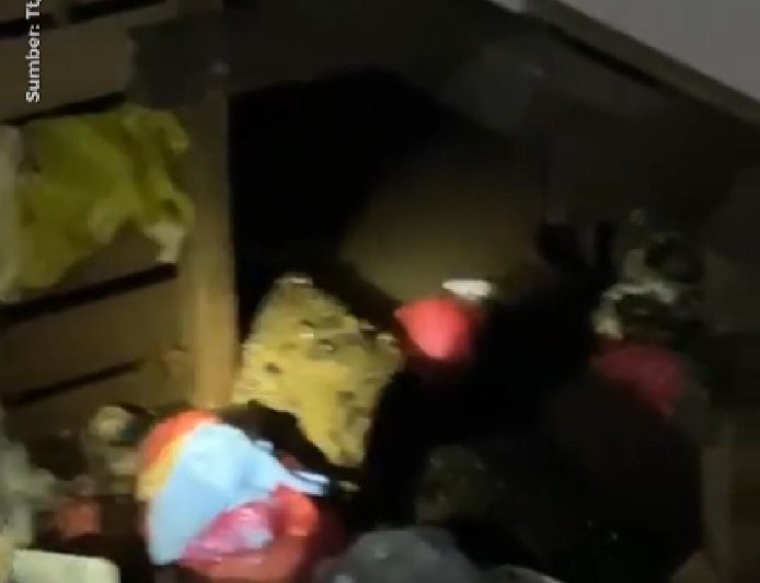 Buaya Muara Muncul di Kolong Rumah Warga di Kutai Timur