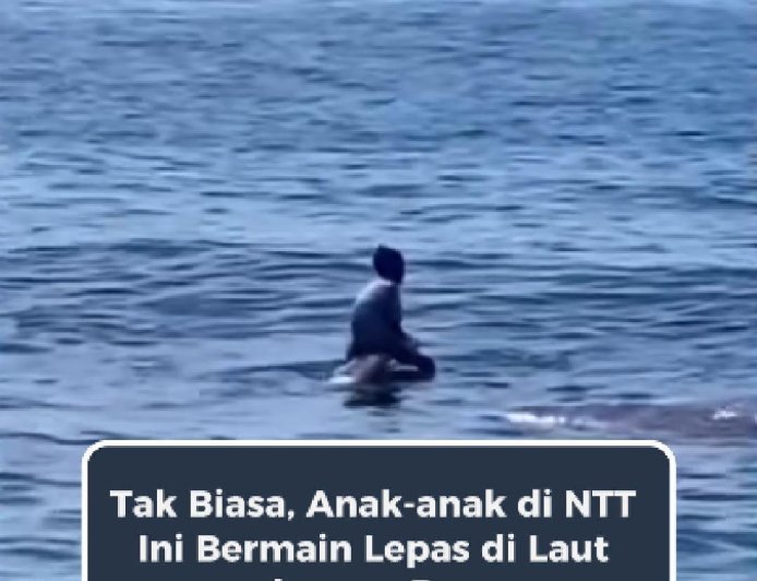 Anak-anak NTT Bermain Bersama Paus, Bikin Netizen Takjub