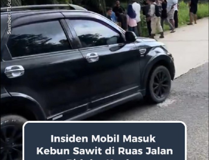 Insiden Mobil Keluar Jalur dan Masuk Kebun Sawit di Ruas Jalan Biduk-Biduk – Kaubun