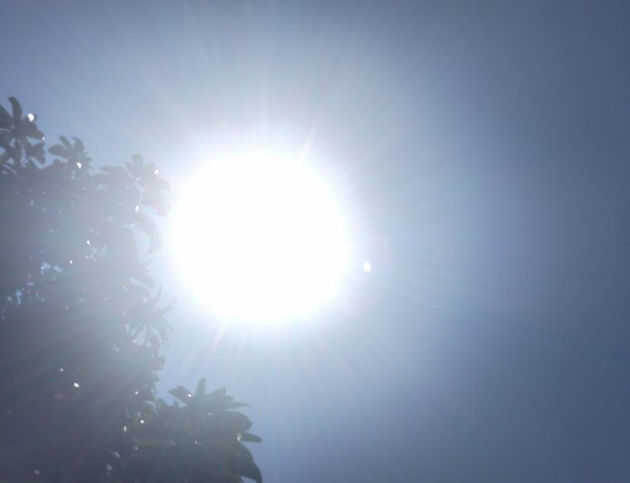 BMKG Imbau Petani Pilih Tanaman Berumur Pendek Jelang Kemarau di Kaltim