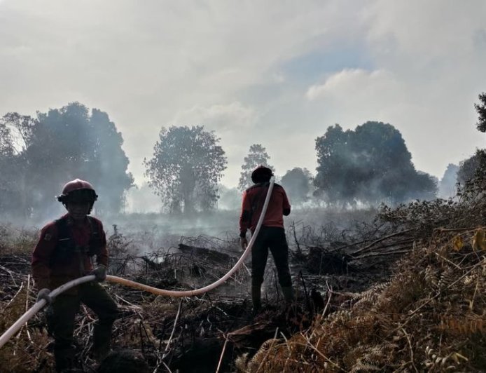 Berau Masuk Daerah Rawan, BMKG Catat 11 Titik Panas Picu Waspada Karhutla