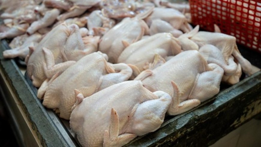 BPS: Lonjakan Harga Daging Ayam Ras dan Cabai Rawit Picu Kenaikan IPH Jelang Ramadan