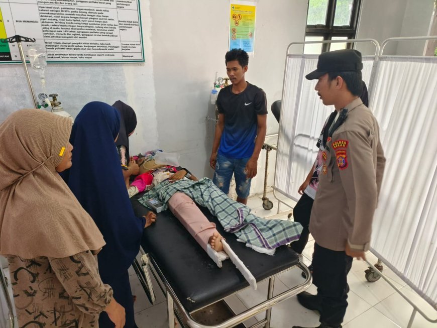 Kayu Gelondongan 5 Meter Hantam Tubuh Wisatawan Hingga Tak Sadarkan Diri