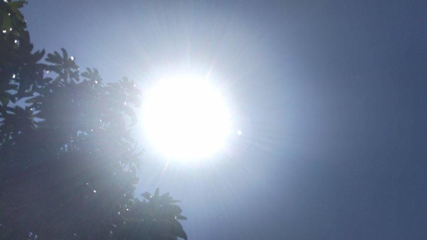 BMKG Imbau Petani Pilih Tanaman Berumur Pendek Jelang Kemarau di Kaltim