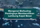 Mengenal Biofouling: Pentingnya Membersihkan Lambung Kapal Besar