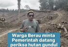 Warga Berau menyayangkan adanya dugaan pembalakan liar di hutan jalan poros Berau-Bulungan akhir-akhir ini
